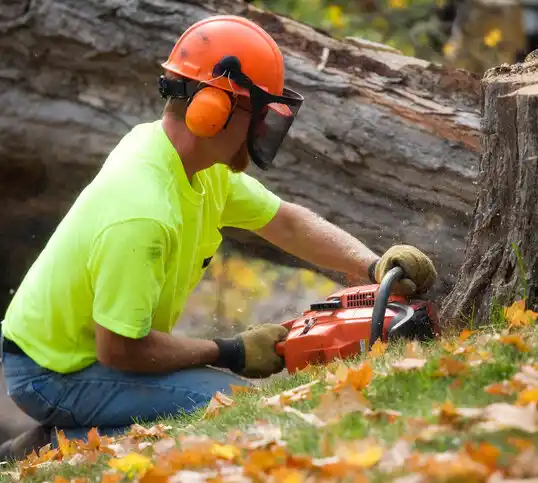 tree services Hazelwood